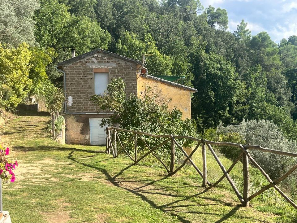 Villa i Terni, Terni - bilde 1