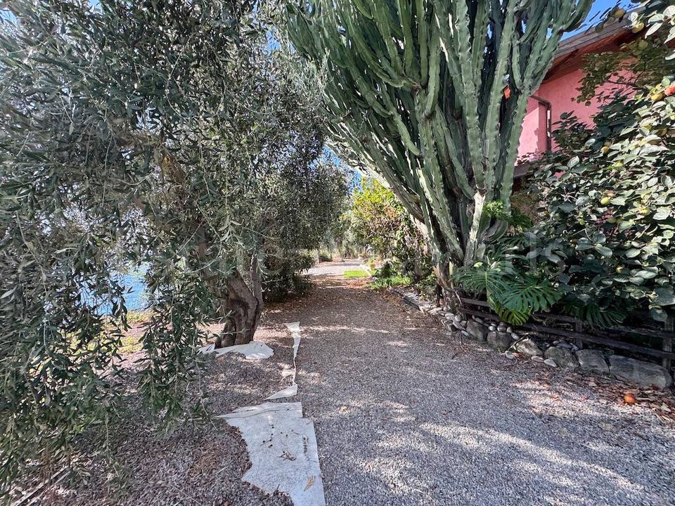 Villa i Bordighera, Imperia - foto 5