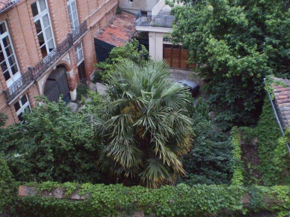 Lejlighed i Toulouse, Haute-Garonne - foto 2