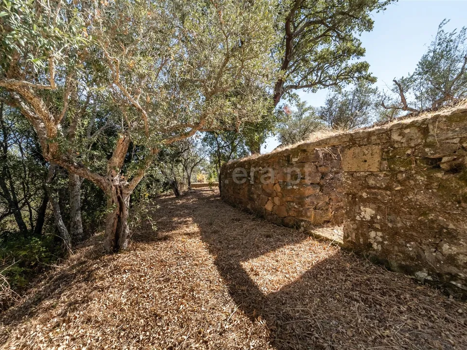 Helårsgrund i Covilha, Castelo Branco - foto 2