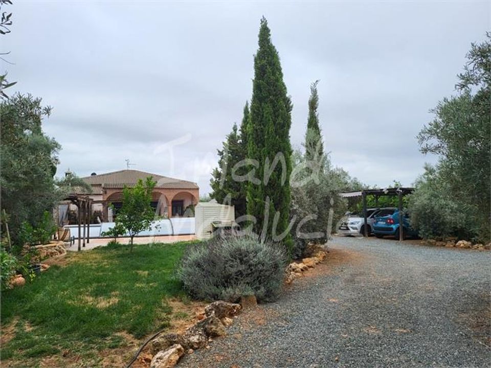 Villa i Casariche, Sevilla - foto 4