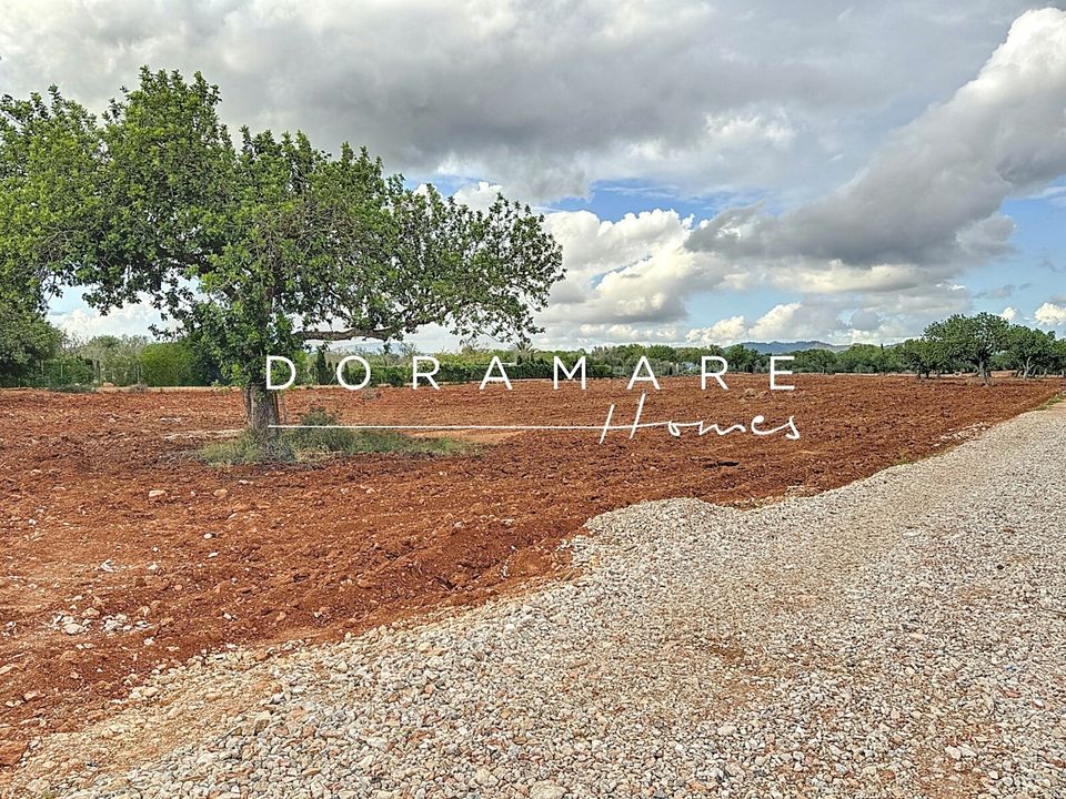Terreno en Campos, Mallorca - foto 3