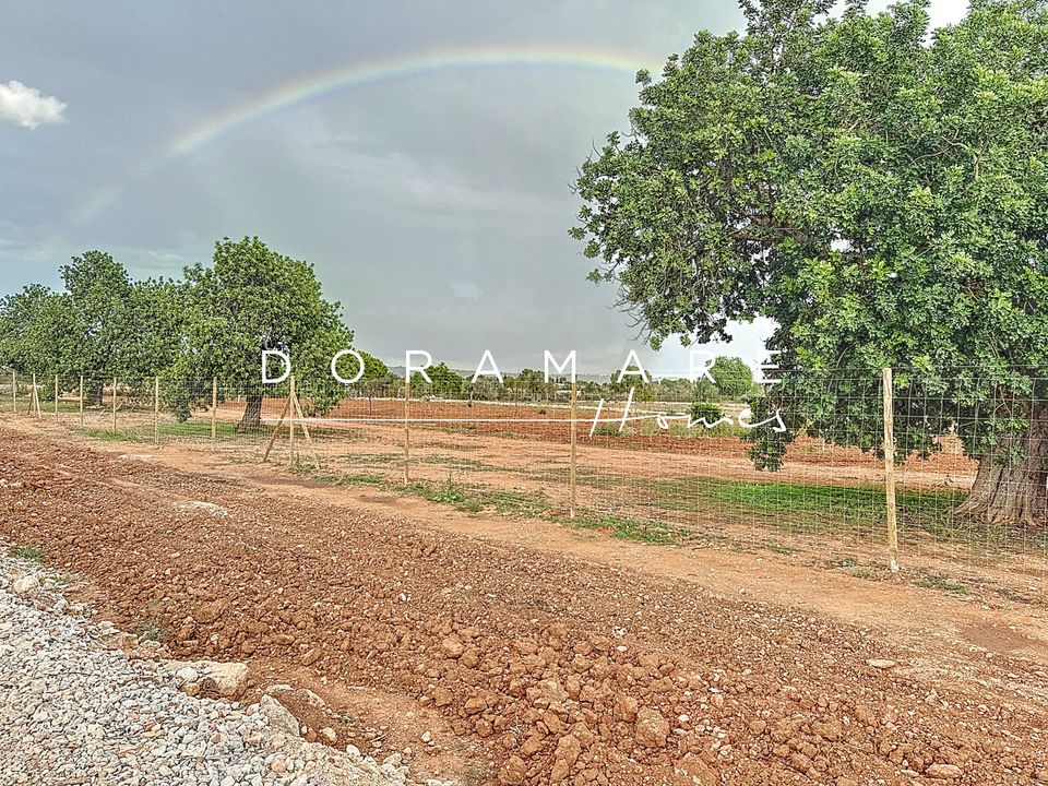 Terreno en Campos, Mallorca - foto 4