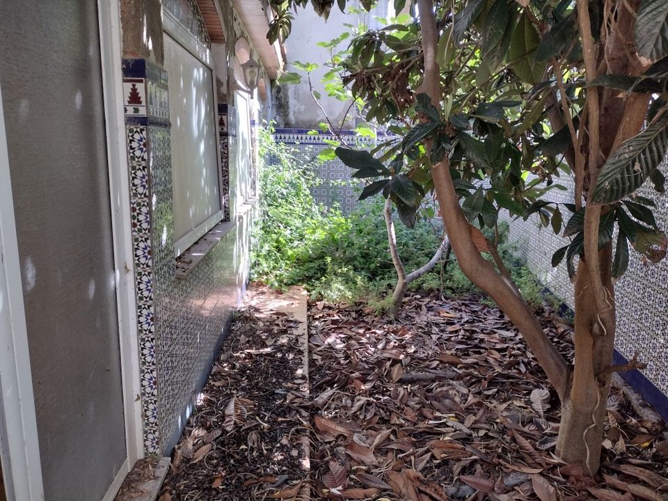 Helårsgrund i Barcelona, Barcelona - foto 4