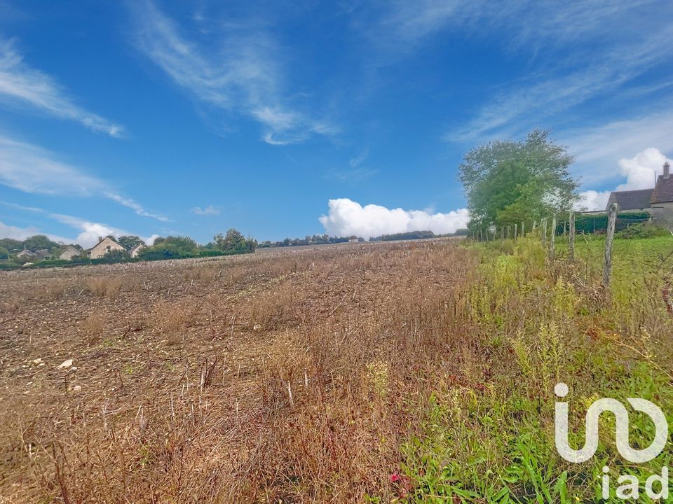 Helårsgrund i Souppes-sur-Loing, Seine-et-Marne - foto 1