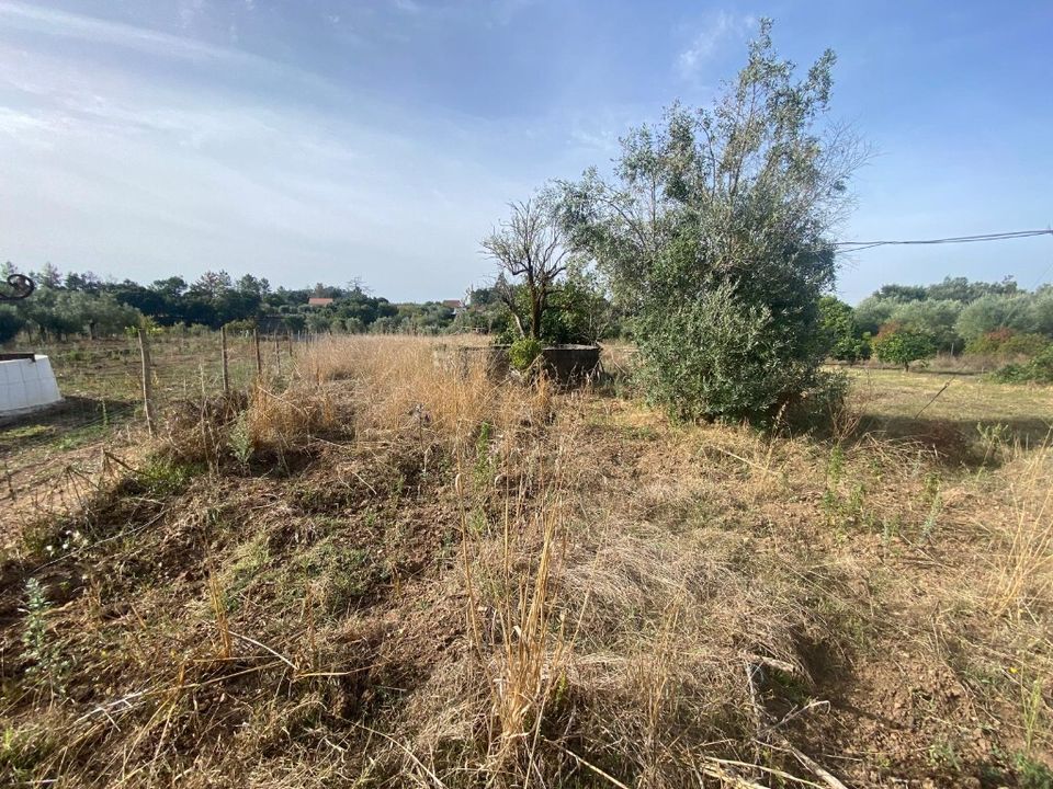 Byhus i Ferreira do Zezere, Santarem - foto 5