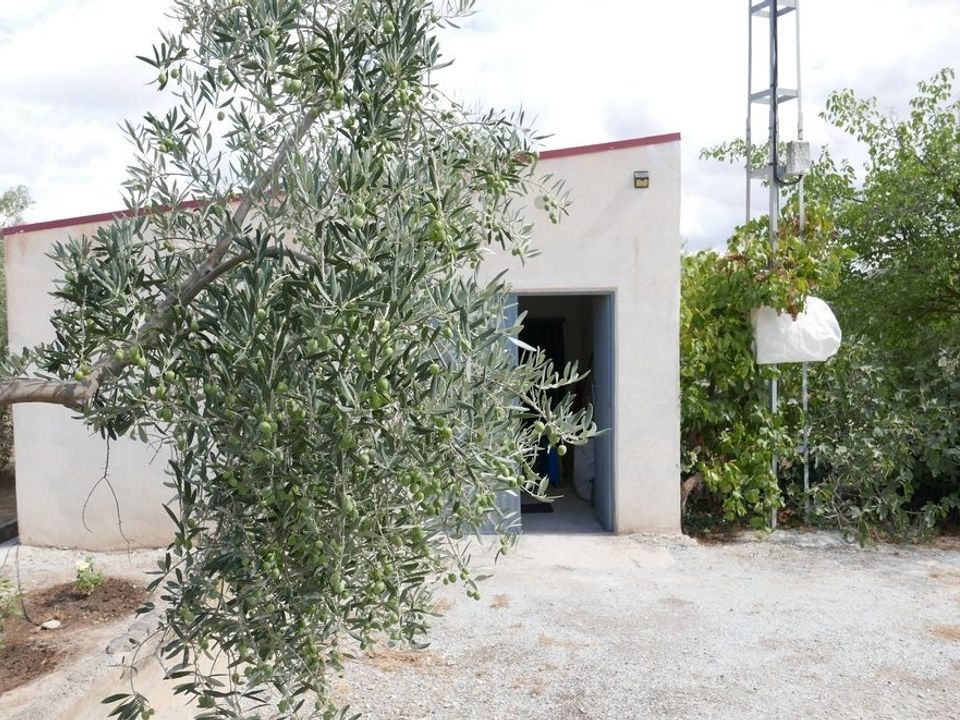 Landejendom i Baza, Granada - foto 2