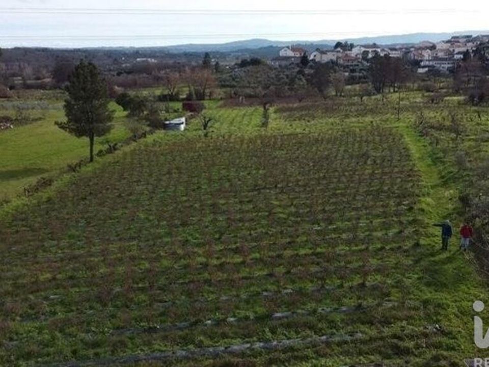 Terreno Covilha, Castelo Branco - foto 2