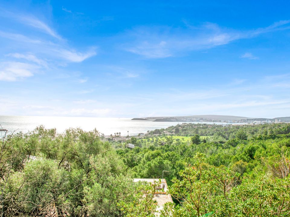 Helårsgrund i Costa D'en Blanes, Mallorca - foto 5