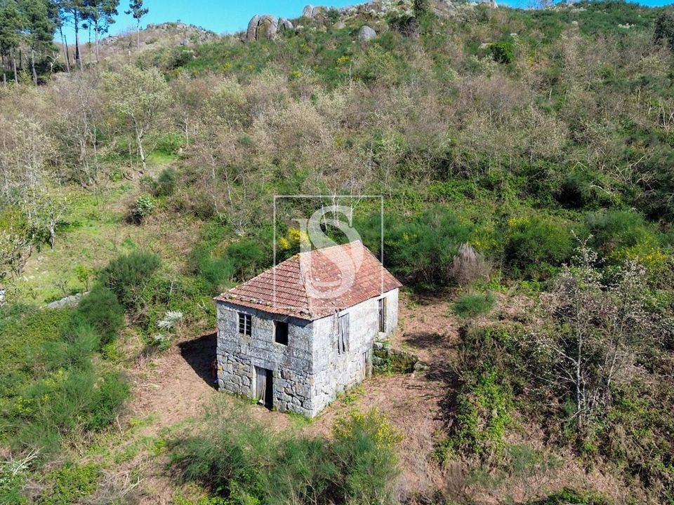 Landejendom i Baiao, Porto - foto 1