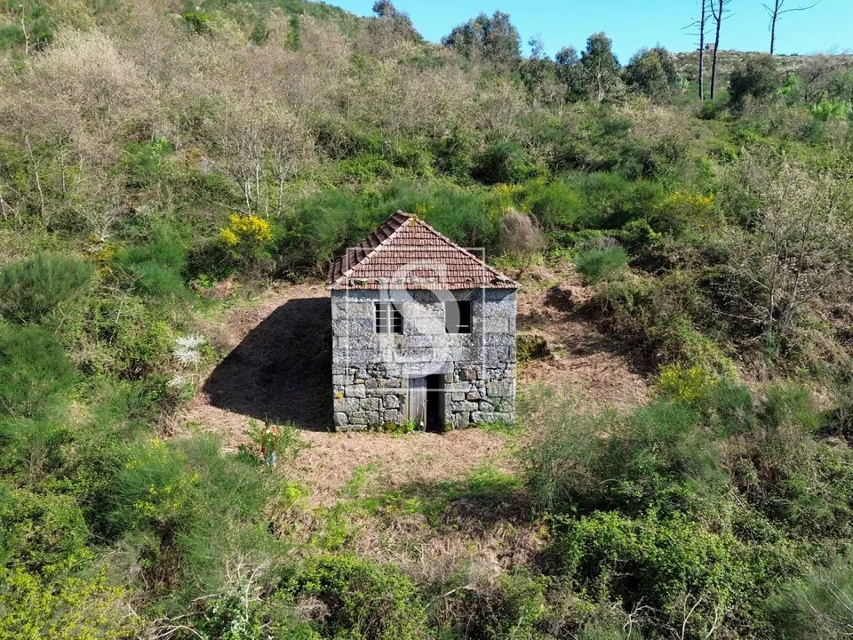 Landejendom i Baiao, Porto - foto 3
