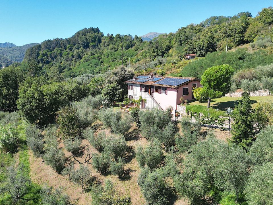 Villa i Borgo a Mozzano, Lucca - foto 4