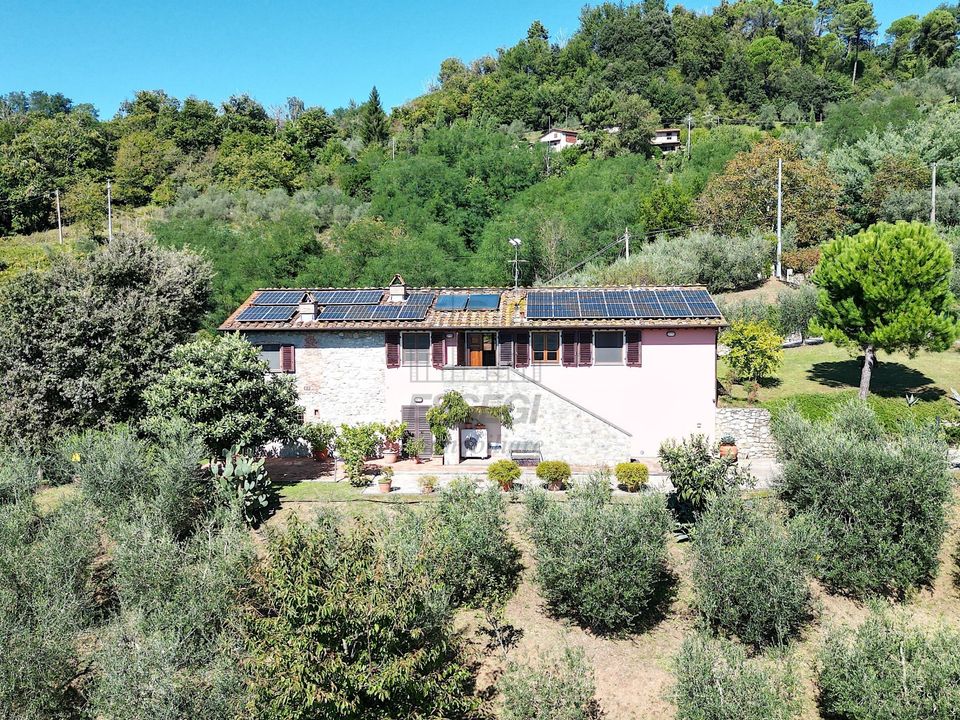 Villa i Borgo a Mozzano, Lucca - foto 5
