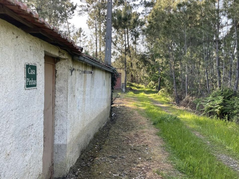 Farm i Santo Andre, Setubal - foto 3