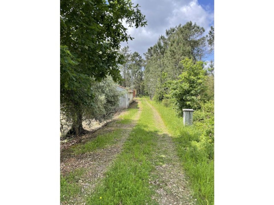 Farm i Santo Andre, Setubal - foto 4