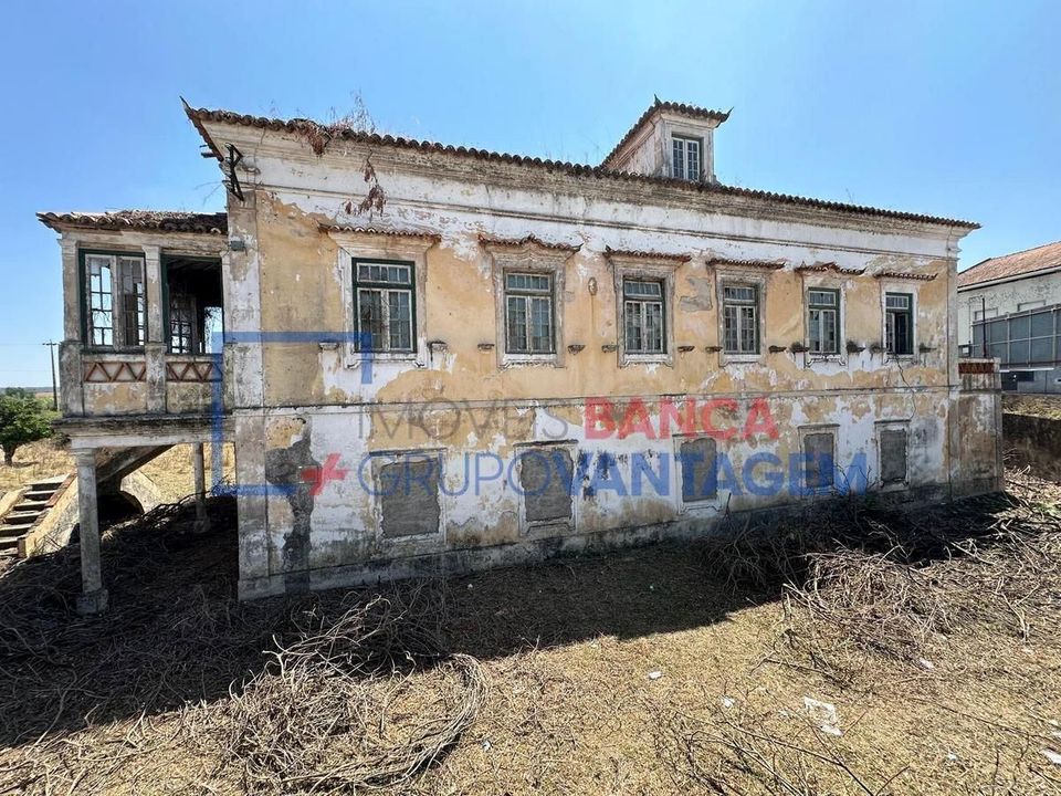 Farm i Abrantes, Santarem - foto 1