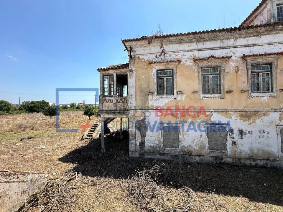 Farm i Abrantes, Santarem - foto 2