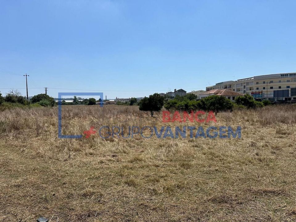 Farm i Abrantes, Santarem - foto 4
