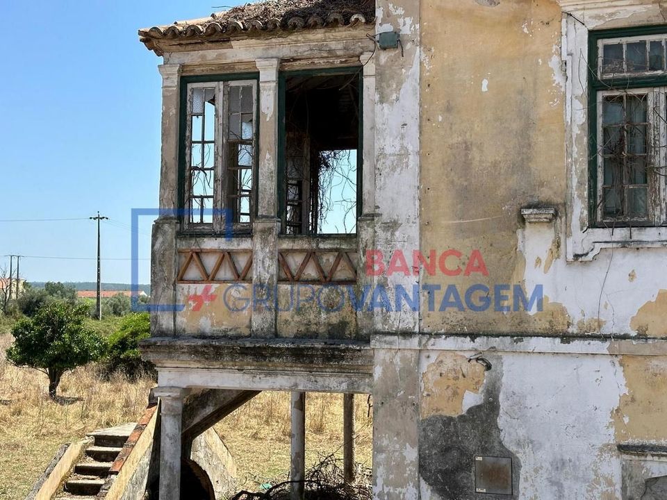 Farm i Abrantes, Santarem - foto 5