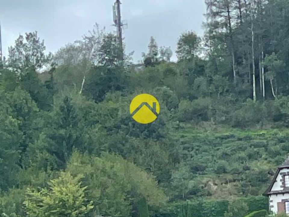 Helårsgrund i Pierrefort, Cantal - foto 1