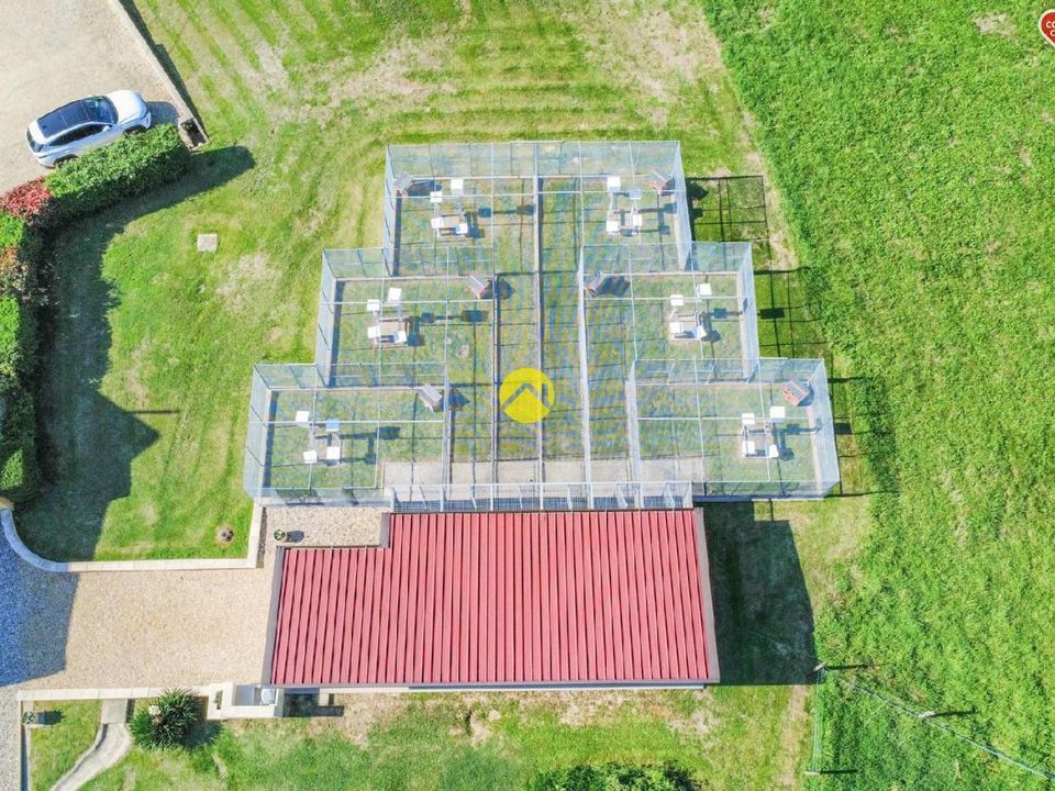 Villa i Beaumont-du-Perigord, Dordogne - foto 4