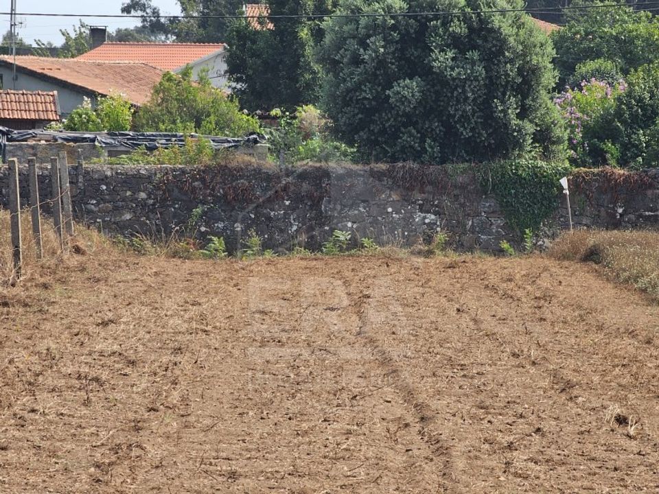 Helårsgrund i Palmeira de Faro, Braga - foto 3