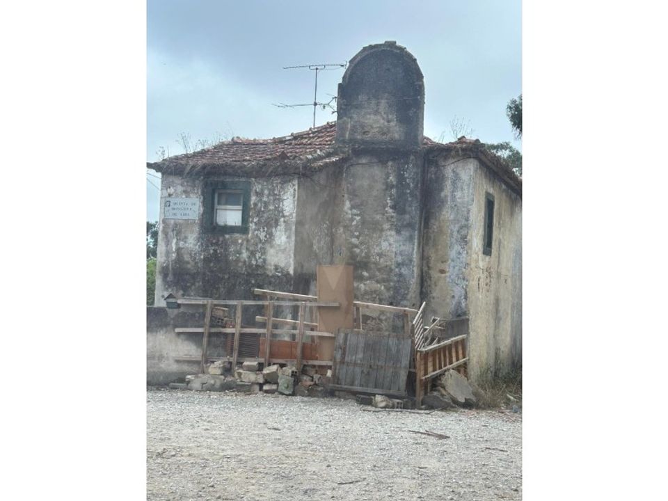 Farm i Rio de Mouro-Estacao, Lisbon - foto 1