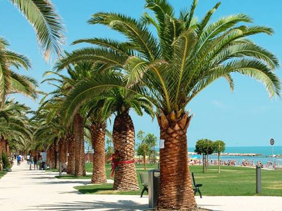 Erhvervsejendom i Grottammare, Ascoli Piceno - foto 5