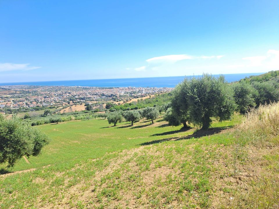 Helårsgrund i Tortoreto, Teramo - foto 1