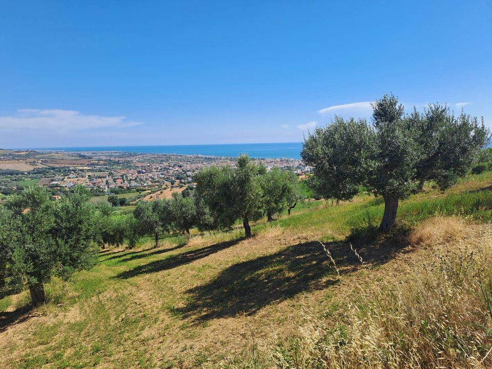 Helårsgrund i Tortoreto, Teramo - foto 3