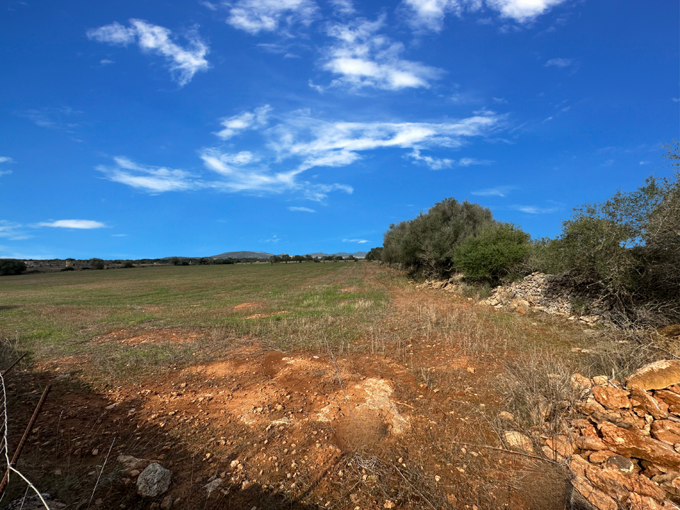 Helårsgrund i Santanyi, Mallorca - foto 2