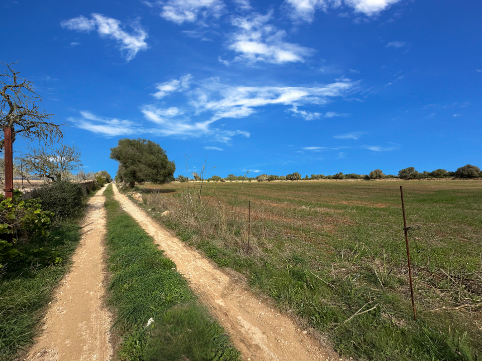 Helårsgrund i Santanyi, Mallorca - foto 3