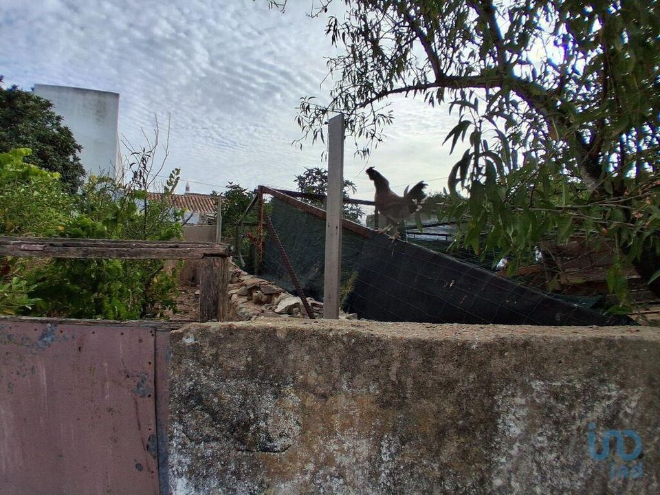 Helårsgrund i Lagos, Faro - foto 4