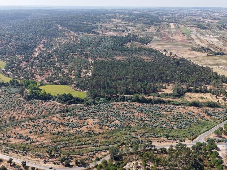 Helårsgrund i Alpiarca, Santarem - foto 3