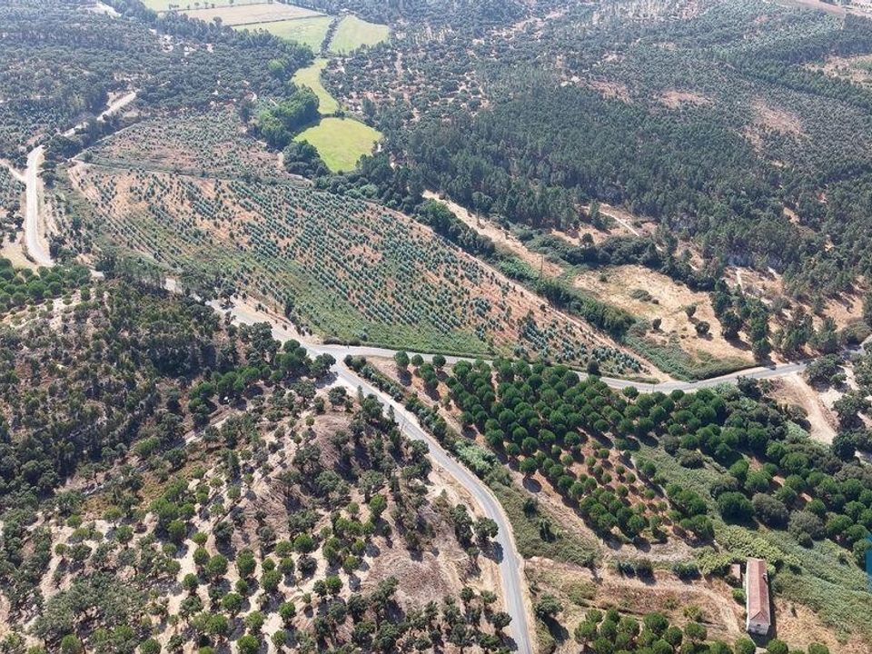 Helårsgrund i Alpiarca, Santarem - foto 4