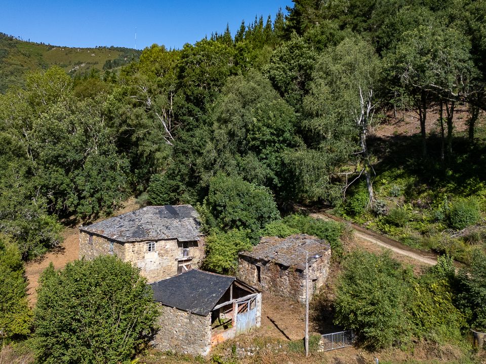 Landejendom i Becerrea, Lugo - foto 3
