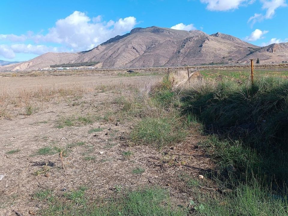 Helårsgrund i Pinos Puente, Granada - foto 2