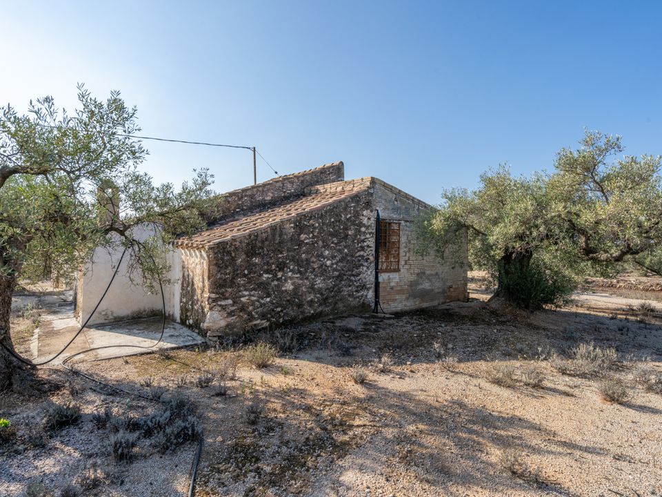 Finca i L'Ampolla, Tarragona - foto 3