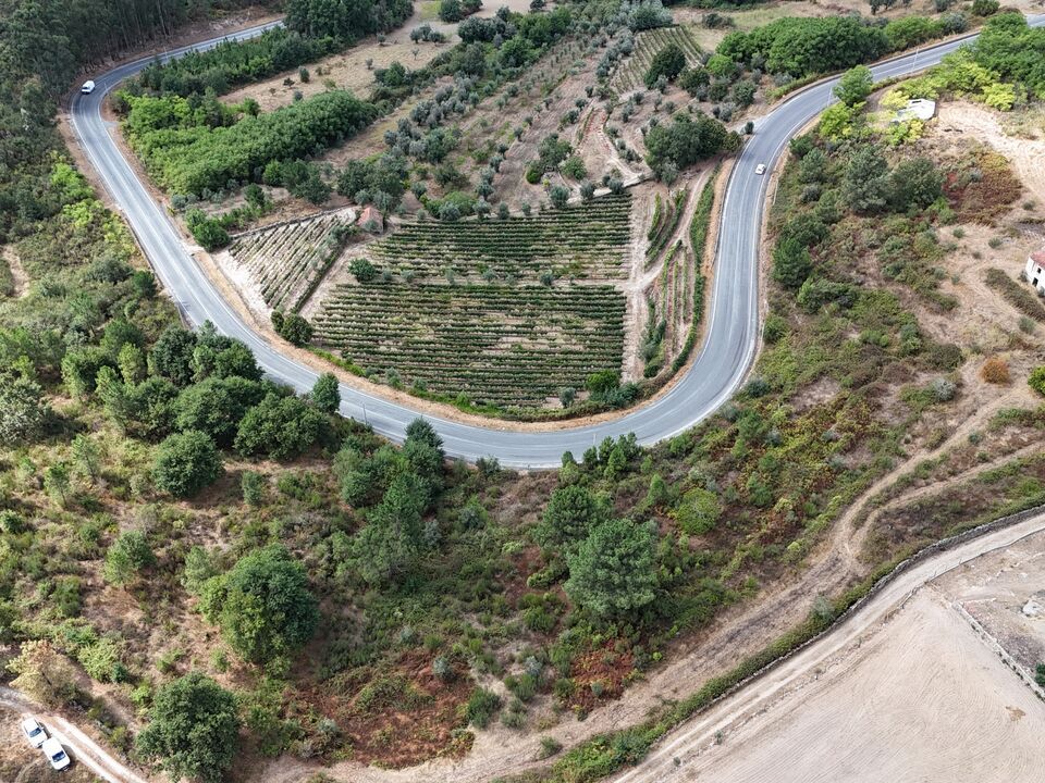 Farm i Santiago de Cassurraes e Povoa de Cervaes, Viseu - foto 3