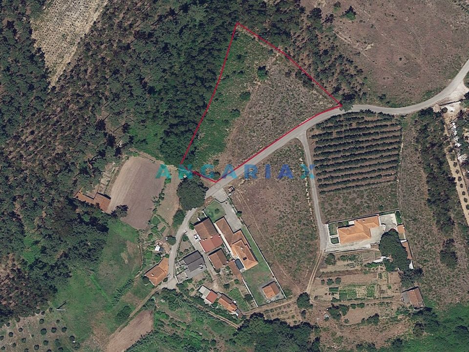 Helårsgrund i Leiria, Leiria - foto 4
