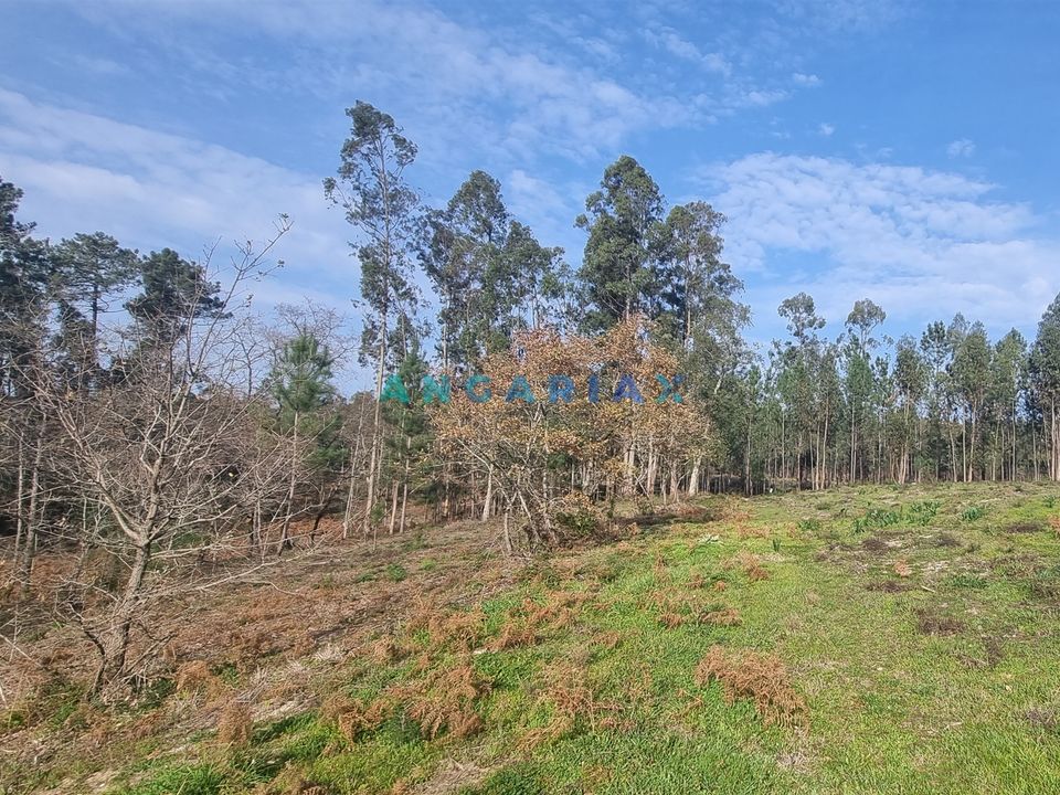 Helårsgrund i Leiria, Leiria - foto 1