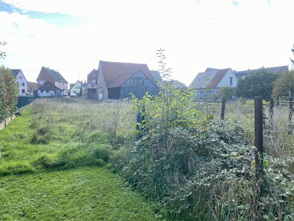 Helårsgrund i Rœschwoog, Bas-Rhin - foto 5
