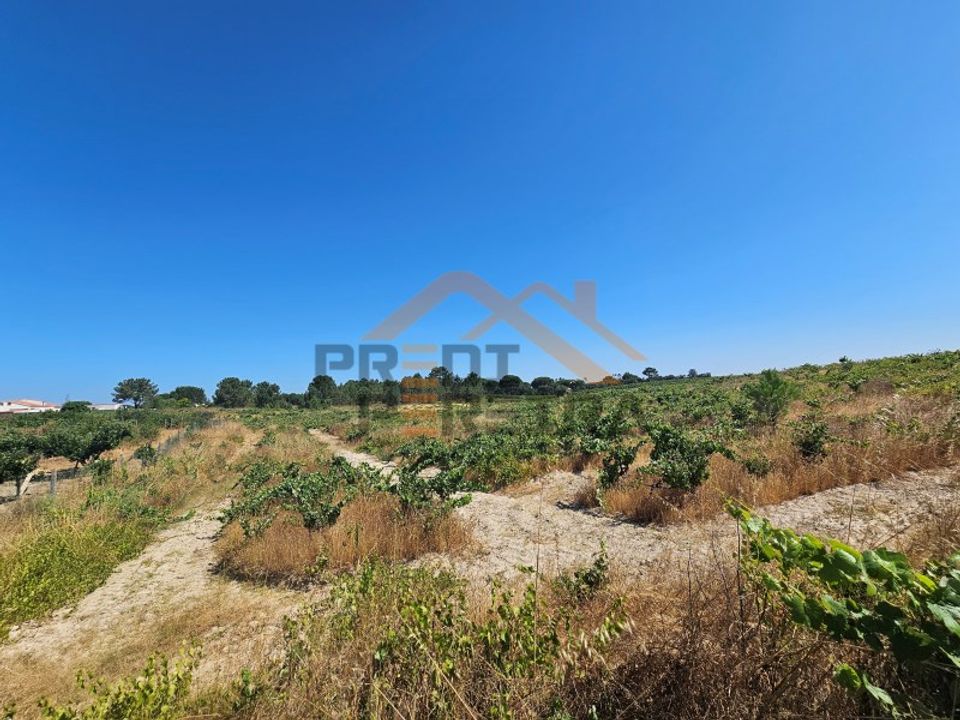 Helårsgrund i Palmela, Setubal - foto 4