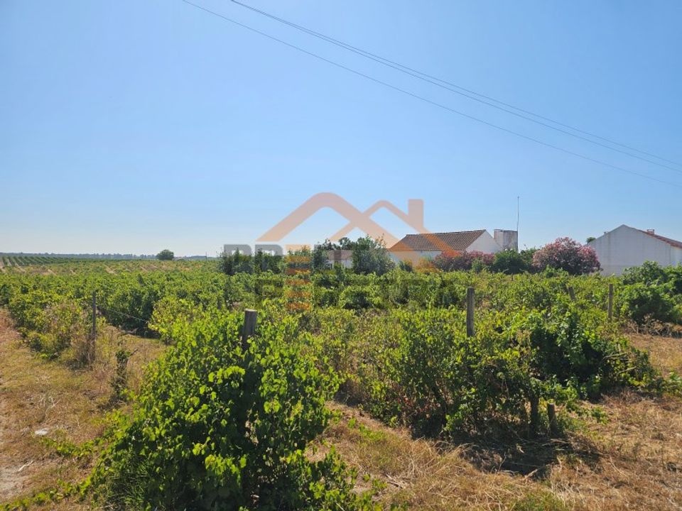 Helårsgrund i Palmela, Setubal - foto 2