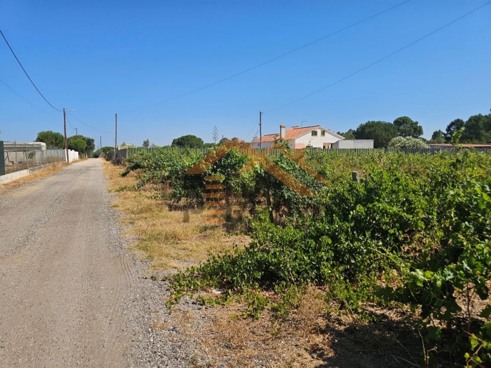 Helårsgrund i Palmela, Setubal - foto 4