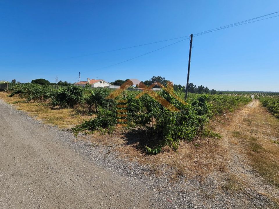 Helårsgrund i Palmela, Setubal - foto 5