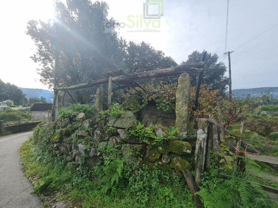 Farm i Ponte de Lima, Viana do Castelo - foto 4