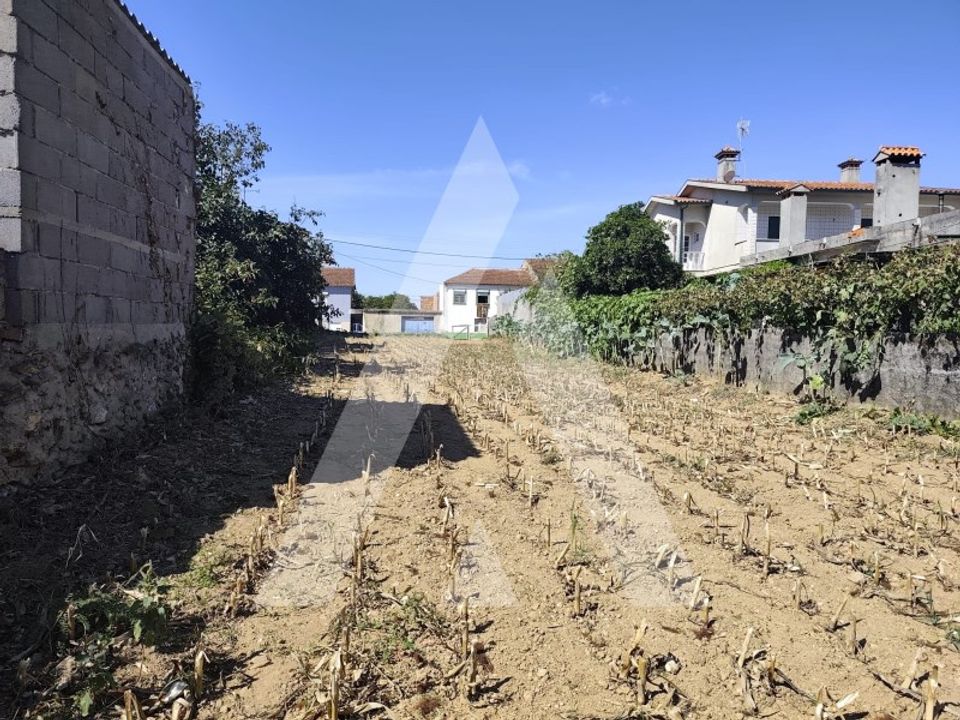 Helårsgrund i Agueda, Aveiro - foto 3