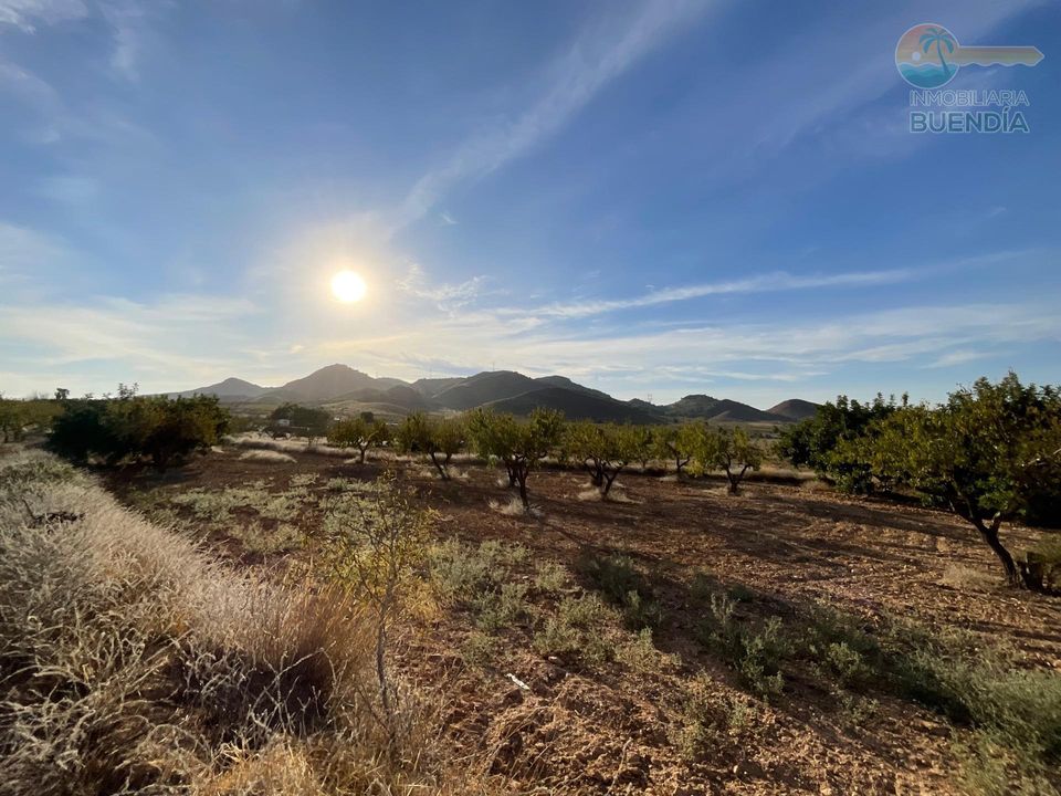 Landejendom i Fuente Alamo, Murcia - foto 4