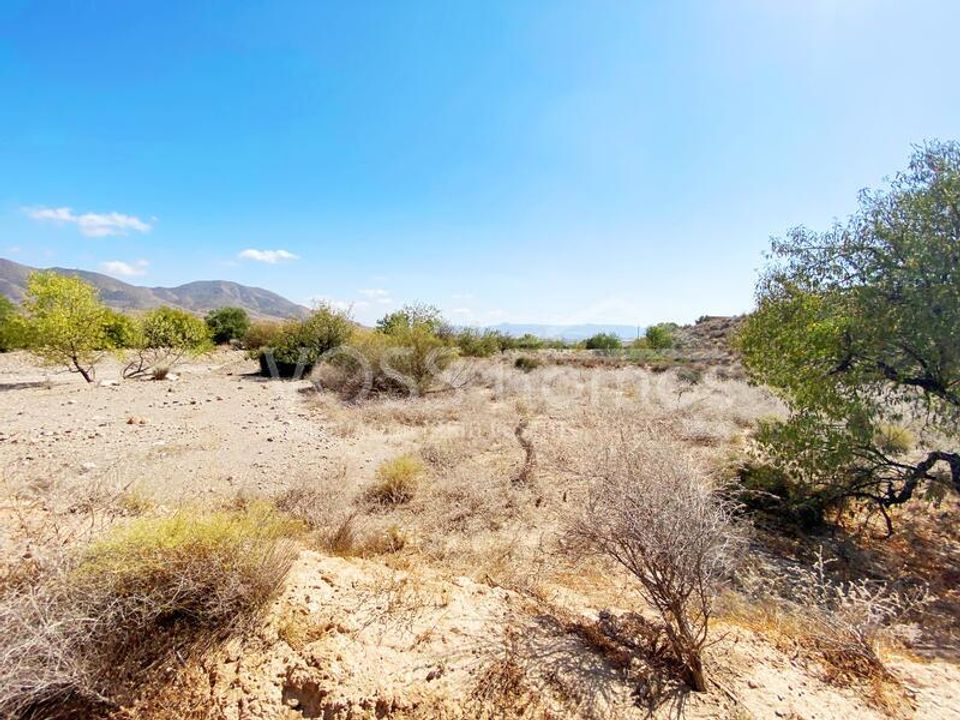 Helårsgrund i Huercal-Overa, Almeria - foto 5